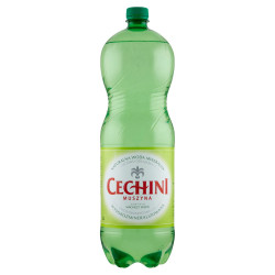 Muszyna Cechini Naturalna woda mineralna wysokozmineralizowana średnionasycona 2 l