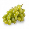 Winogrono jasne kg