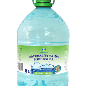Woda niegazowana 5 l Lewiatan