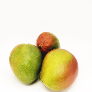 Mango szt.