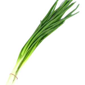 Szczypior szt